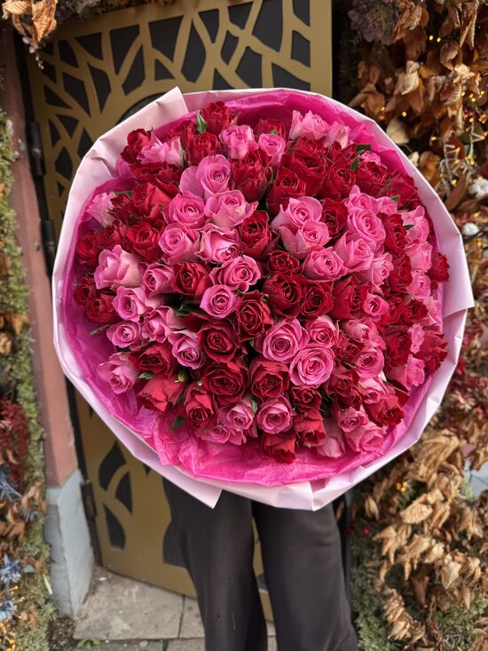 101 gb madam red+ aqua 50 cm 