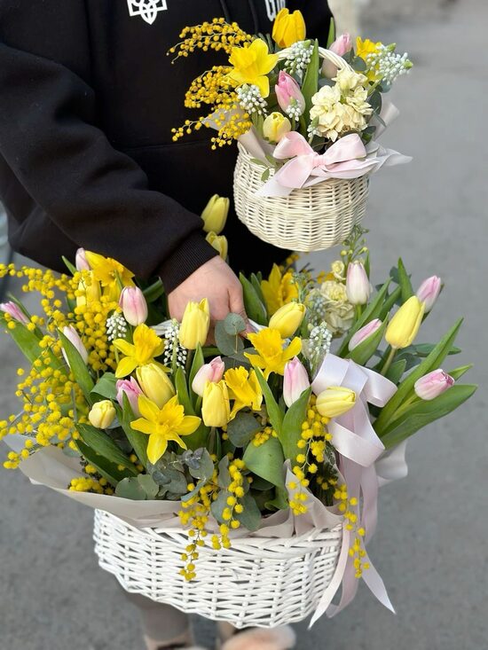 Mimosa 04, cena par 1 gb grozu - lielāku