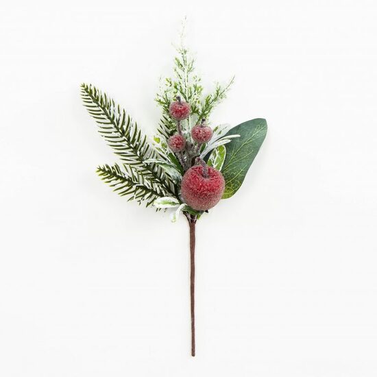 YC69 -H30 cm, gaidīšana 10 dienas