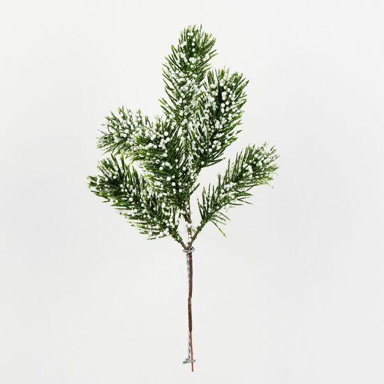 ZB13 H30cm, gaidīšana 10 dienas