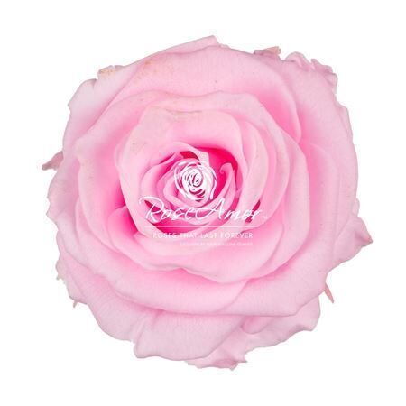 Komplekts 18 gb. R GR OV KLB H% Pres Xs Pin99