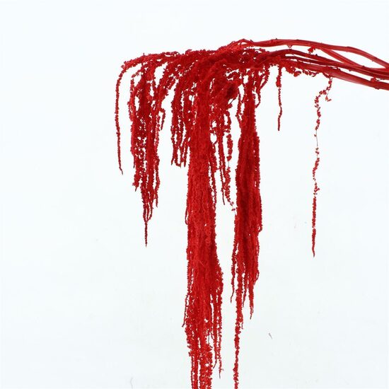  DROOGBL BEWERKT H% 39 amaranti red