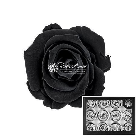 Kompl. 12 gb. R GR OV KLB H% Pres M Bla01