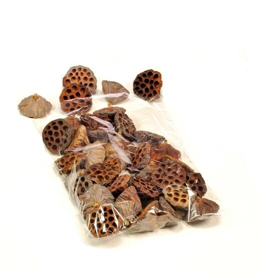  HUIS EN TUINDECO H% Lotus Medium 40pc Bag Natural