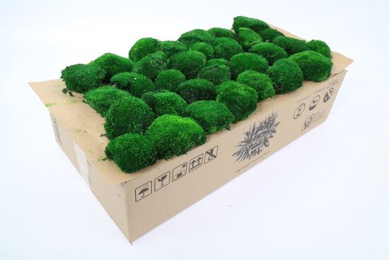  MOSSEN OV H% Bolmos Donkergroen Gepreserveerd 2,5 Kg