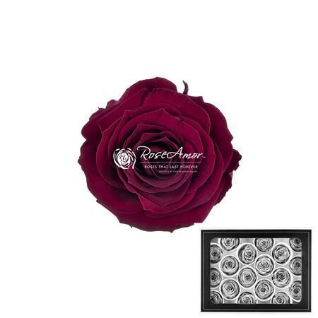  Komplekts 18 gb. R GR OV KLB H% Pres Xs Pin02