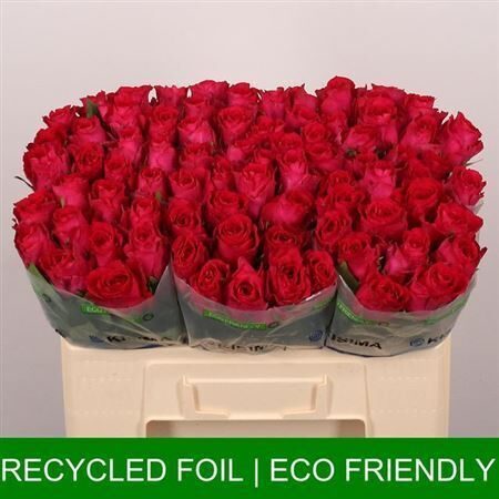 R Gr Madam Cerise,50 cm, cena par 1 gb.