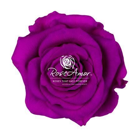 Komplekts 18 gb. R GR OV KLB H% Pres Xs Pur02