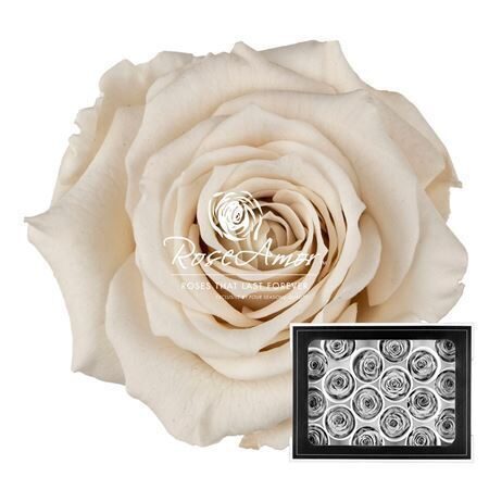 Komplekts 18 gb.R GR OV KLB H% Pres Xs Whi04