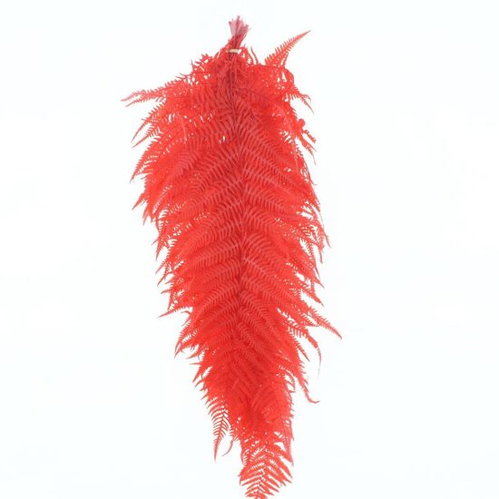  DROOGBL BEWERKT H% 39 red feathers