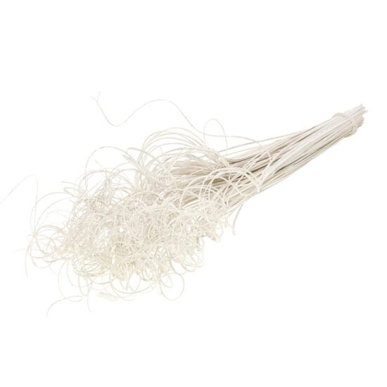HUIS EN TUINDECO H% Curly Ting beliy Silv Gl