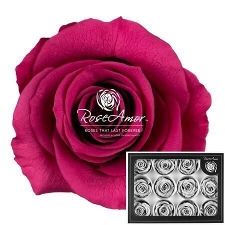 Kompl. 12. gb. R GR OV KLB H% Pres M Vio02