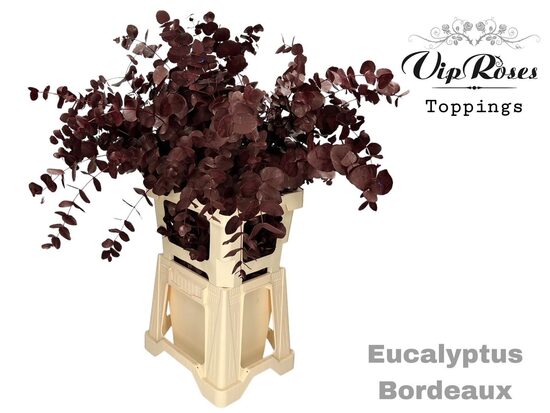 Sākot ar  15.04 Cinerea bordo ,cena par 1 gb bunti