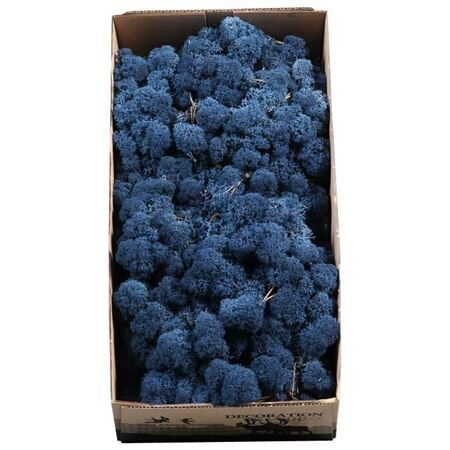 MOSSEN OV H% Ijslandmos (reindeer) CINIY