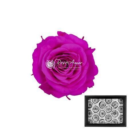 Komplekts 18 gb. R GR OV KLB H% Pres Xs Pin07