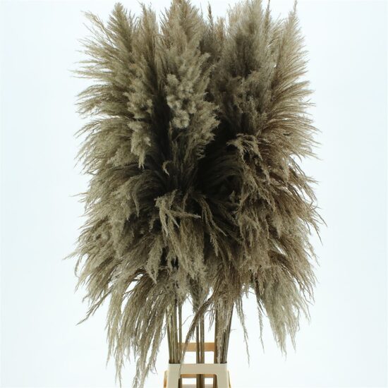  DROOGBL BEWERKT H% 160 cm